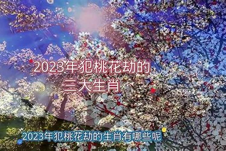 2023年犯桃花劫的生肖羊