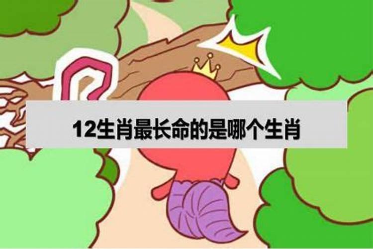 12生肖那个生肖最长命