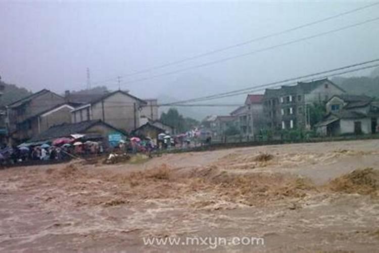 梦见雨大发洪水