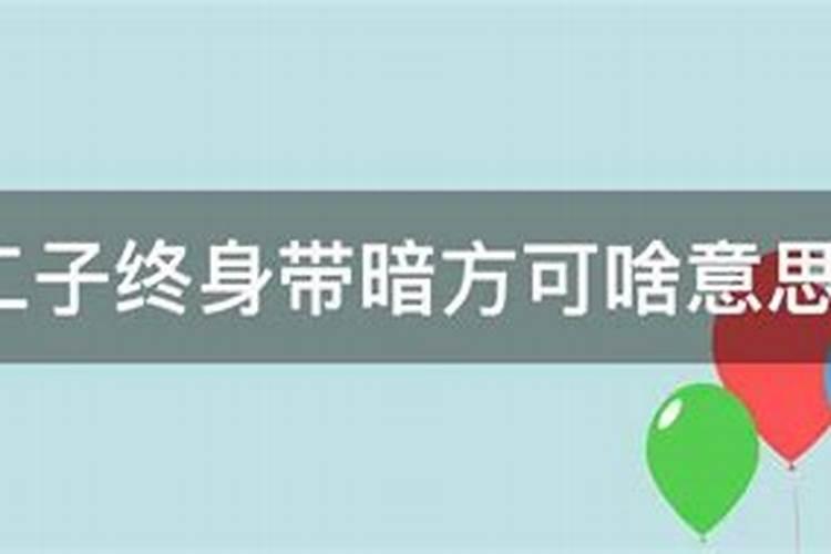 虽有二子终身带暗方可是什么意思