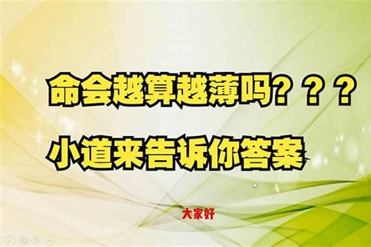 七一年的猪2023年运势怎么样