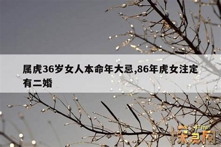 属虎人36岁要注意什么