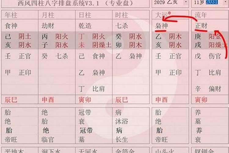 八字的透干与通根