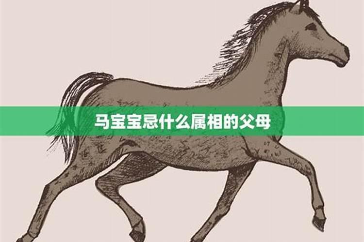 属马的忌讳什么