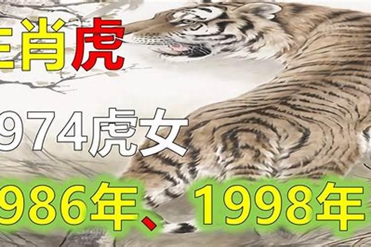 虎年生人2023年运势好不好