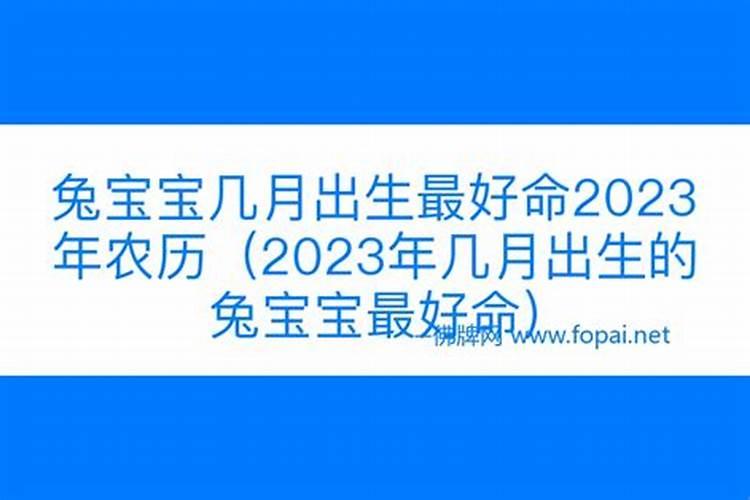 2023年兔宝宝几月出生最好农历