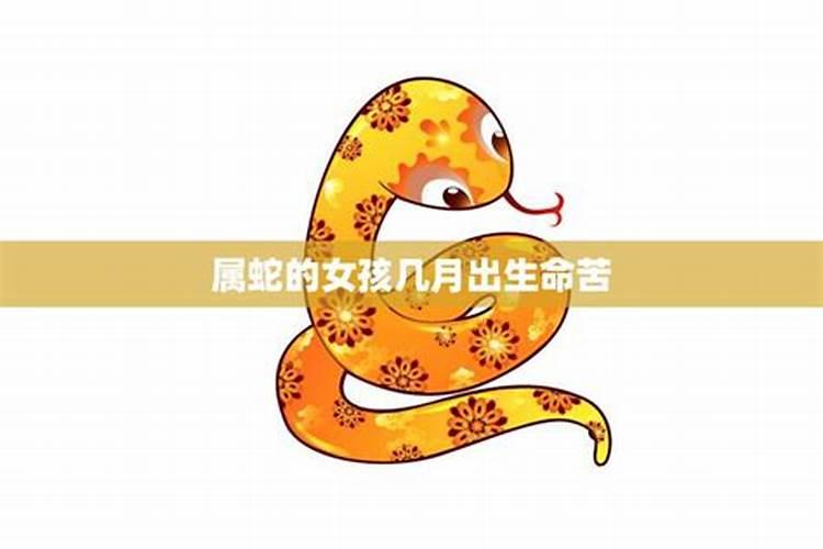 阳历12月的蛇命运如何