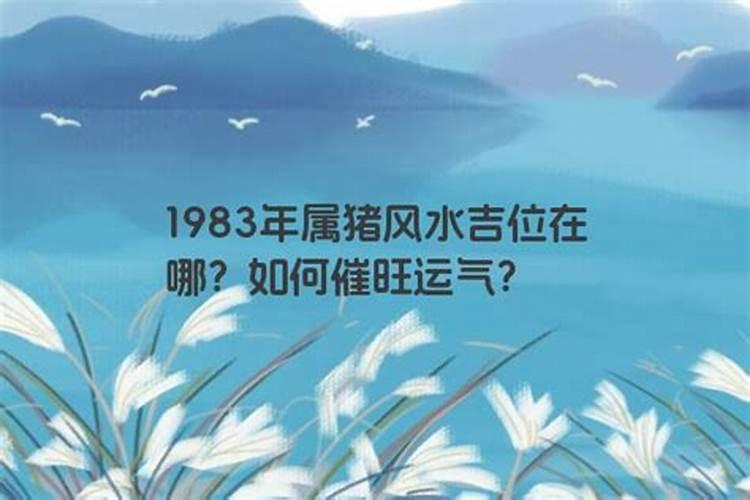 1983年明年的运势