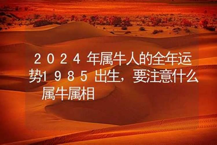 属鼠人2022年运势及运程每月运程易安居