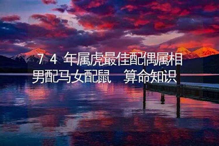 74年属虎人最佳配偶属相