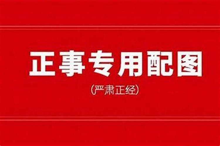 企业名称指的是什么