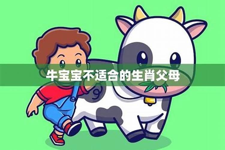 生肖牛的缺点