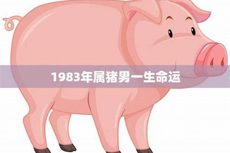 1983年属猪男一生运势如何