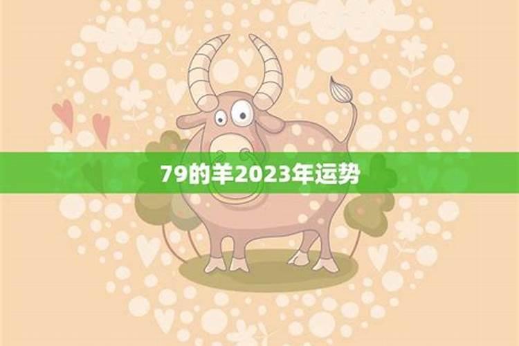 79年的羊在2023年运势