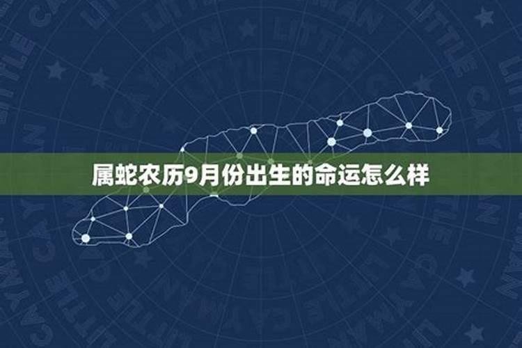 狮子座2021年6月运势最新运程