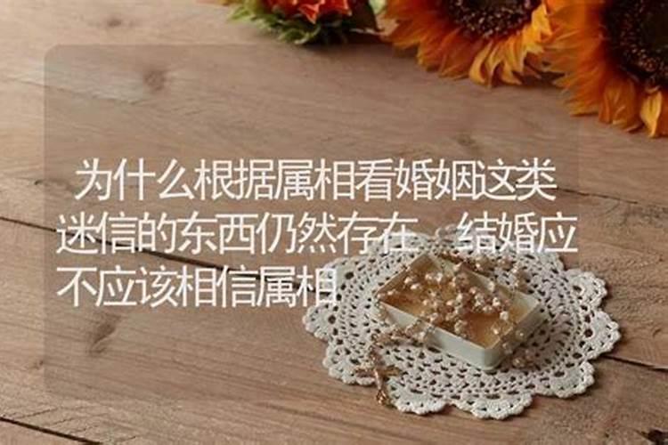 属相婚配可以信吗