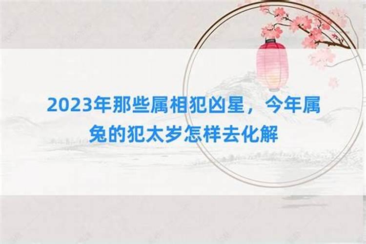 2021年什么属相犯凶星