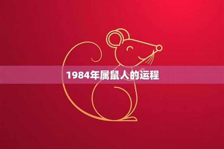 1984年鼠运势及运程如何