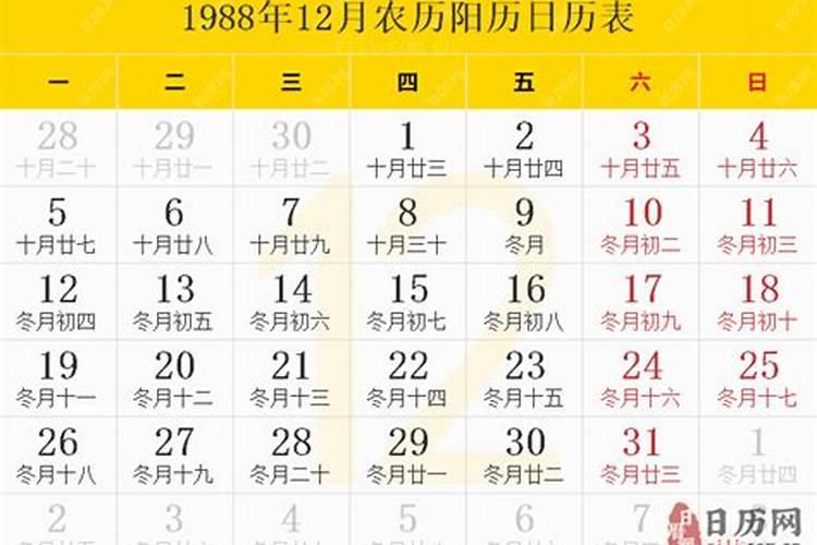 1988年农历12月21日是什么命