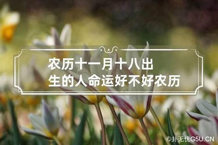 阴历一月十一是什么命