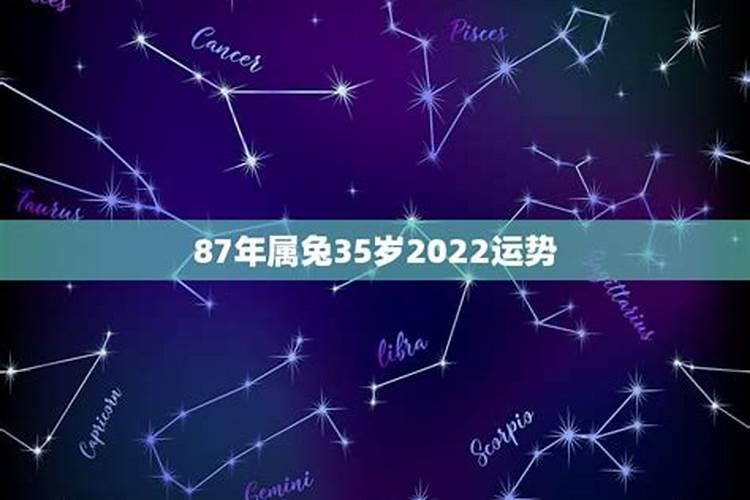 八七年的兔在2023年的运势