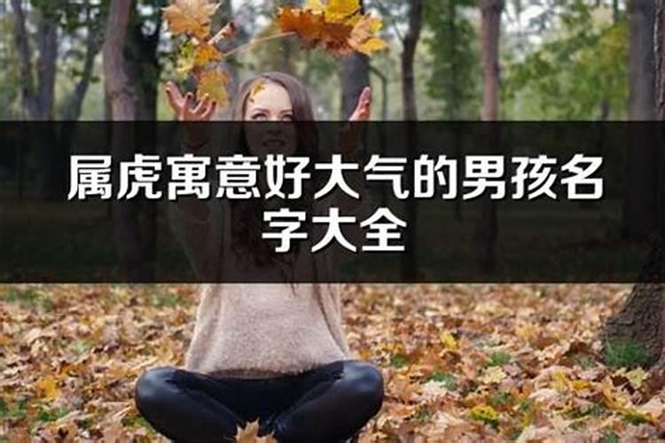 属虎寓意好大气的名字男孩