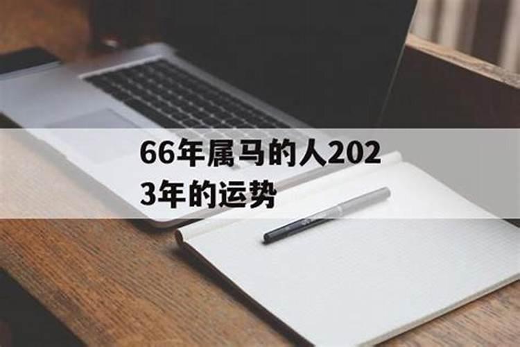 马在2023年的运势