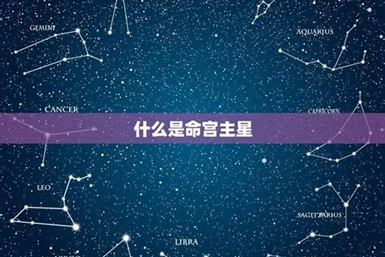 怎么看自己命星