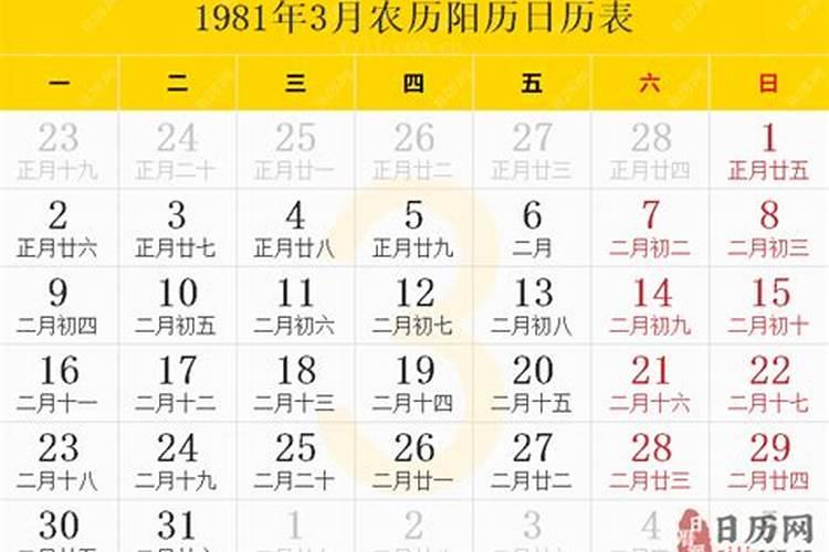 94年属狗女佩戴什么运气好运呢