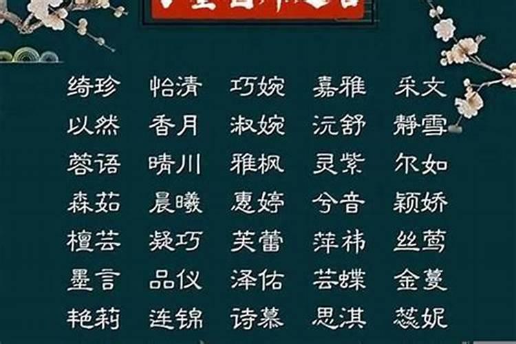 粉丝的名字应该起什么好