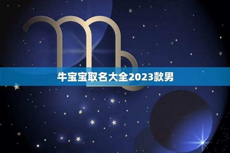 牛宝宝男孩取名大全2023