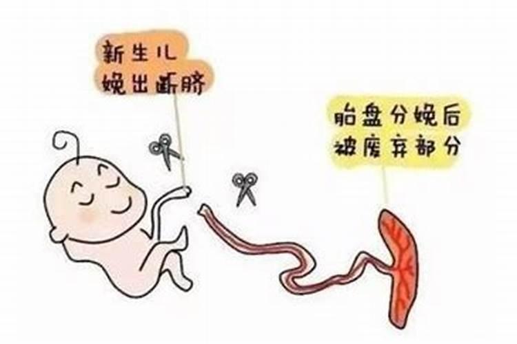 梦见别人老婆生孩子剪脐带