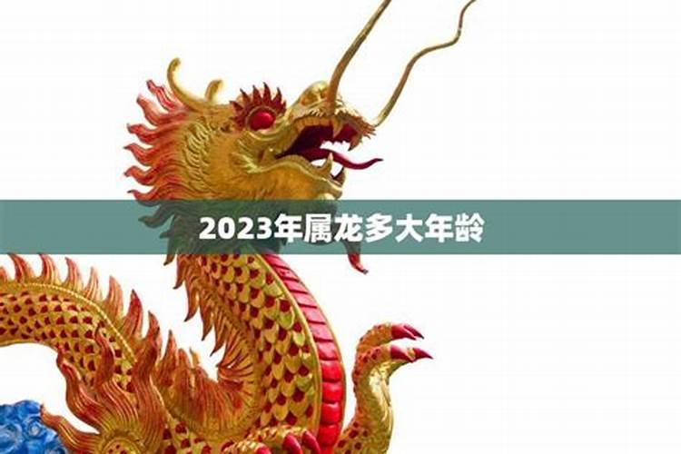 2023属龙多大年龄