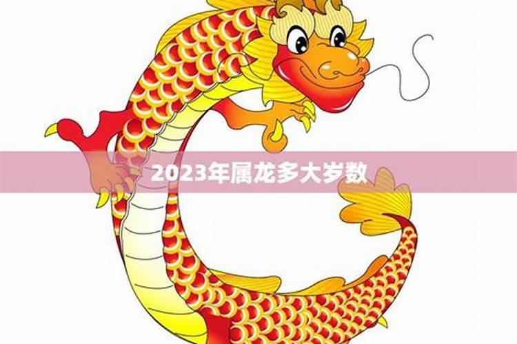 2023属龙多大年龄