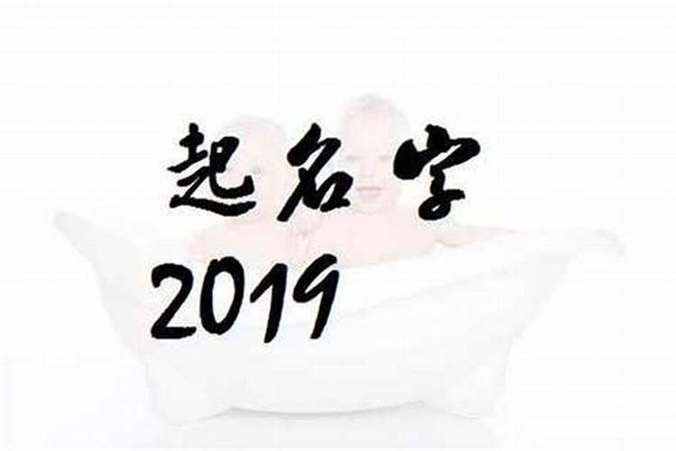 2023年1月份属猪宝宝取名