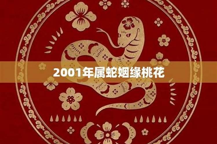 2001年属蛇的姻缘如何