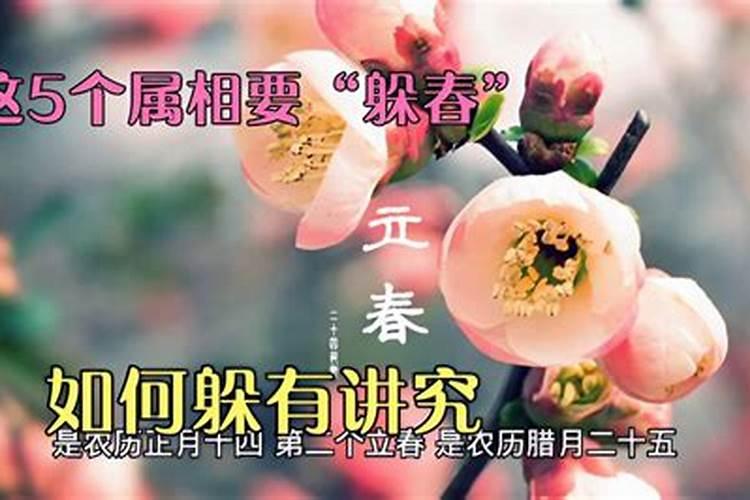 今年什么属相需要躲春