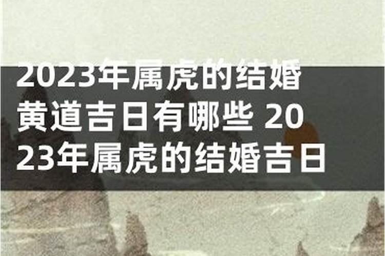 2021属虎的几月结婚大利月