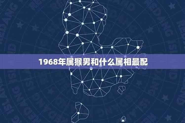 1968属猴的和什么属相最配