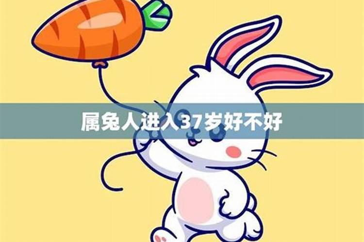 属兔女人进入34岁好不好