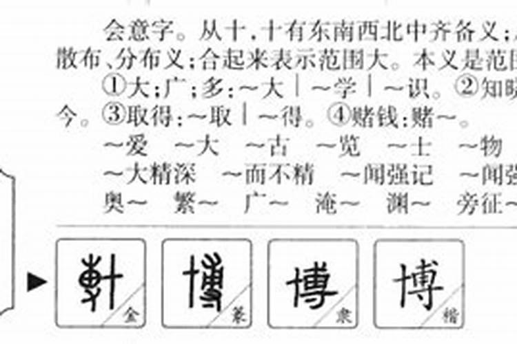 取名用博字的含义