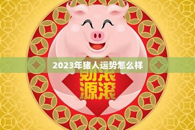 1947属猪2023年的运程