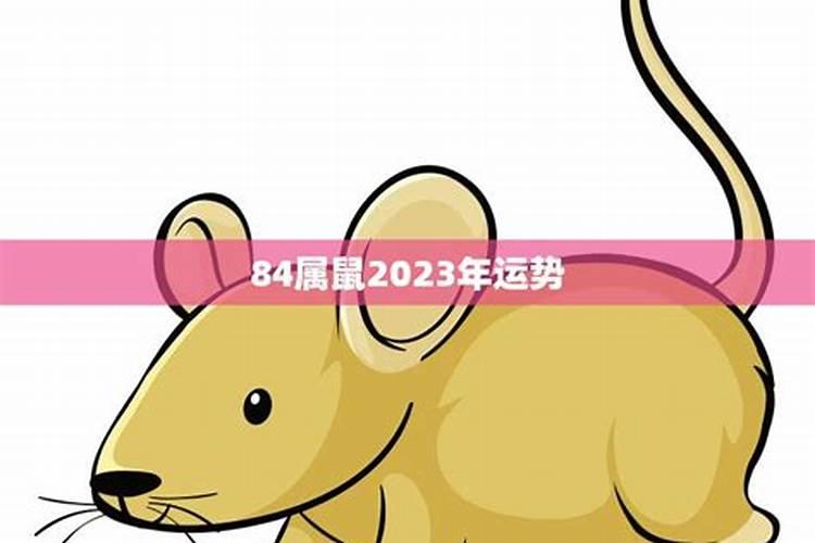 84年属鼠2023年运势如何