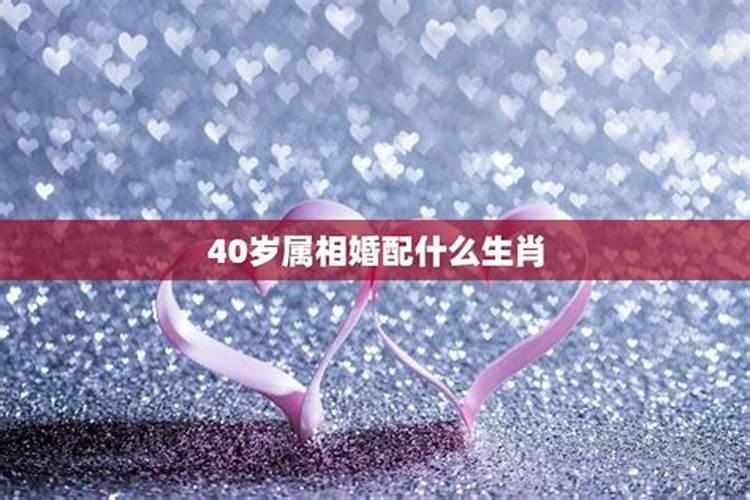 40岁属什么生肖2023年多大