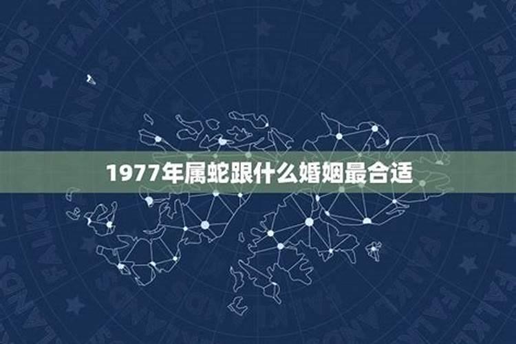 1977属蛇的最佳配偶属相