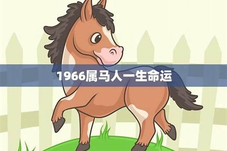 1966年属马人一生的运势