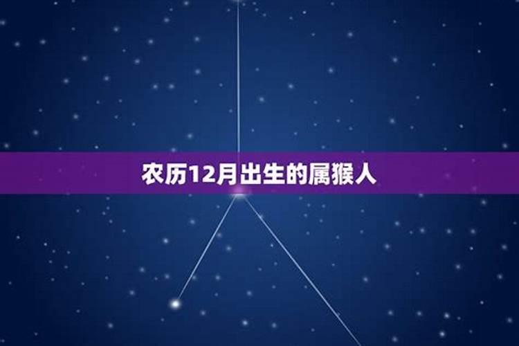 猴农历12月出生运势怎么样