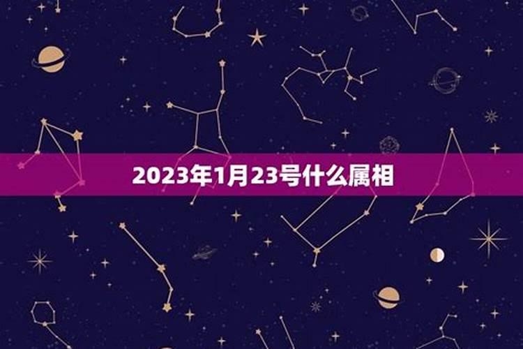 21年躲星的属相