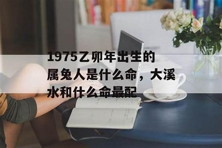 乙卯年出生2023年运势