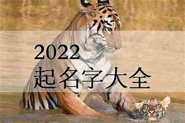 宝宝起名2023年属虎小名